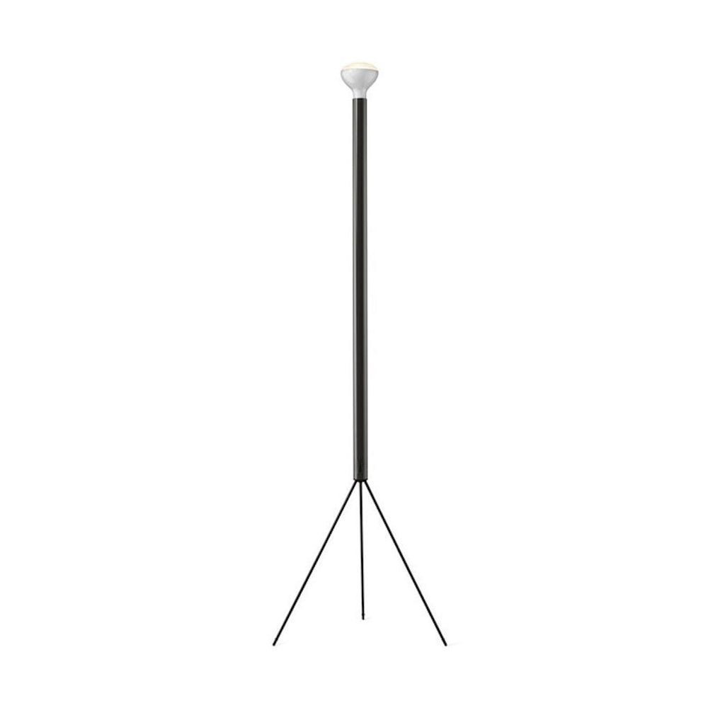 Luminator Floor Lamp