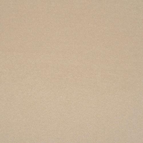 Beige color swatch Velvet