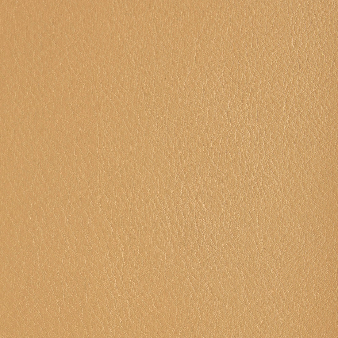 Aniline Leather