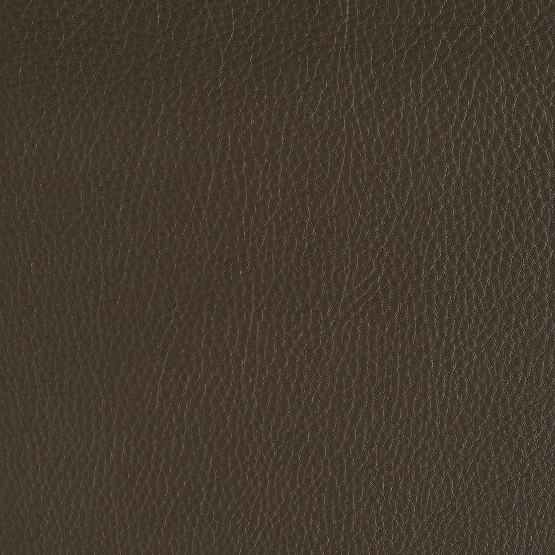 Aniline Leather