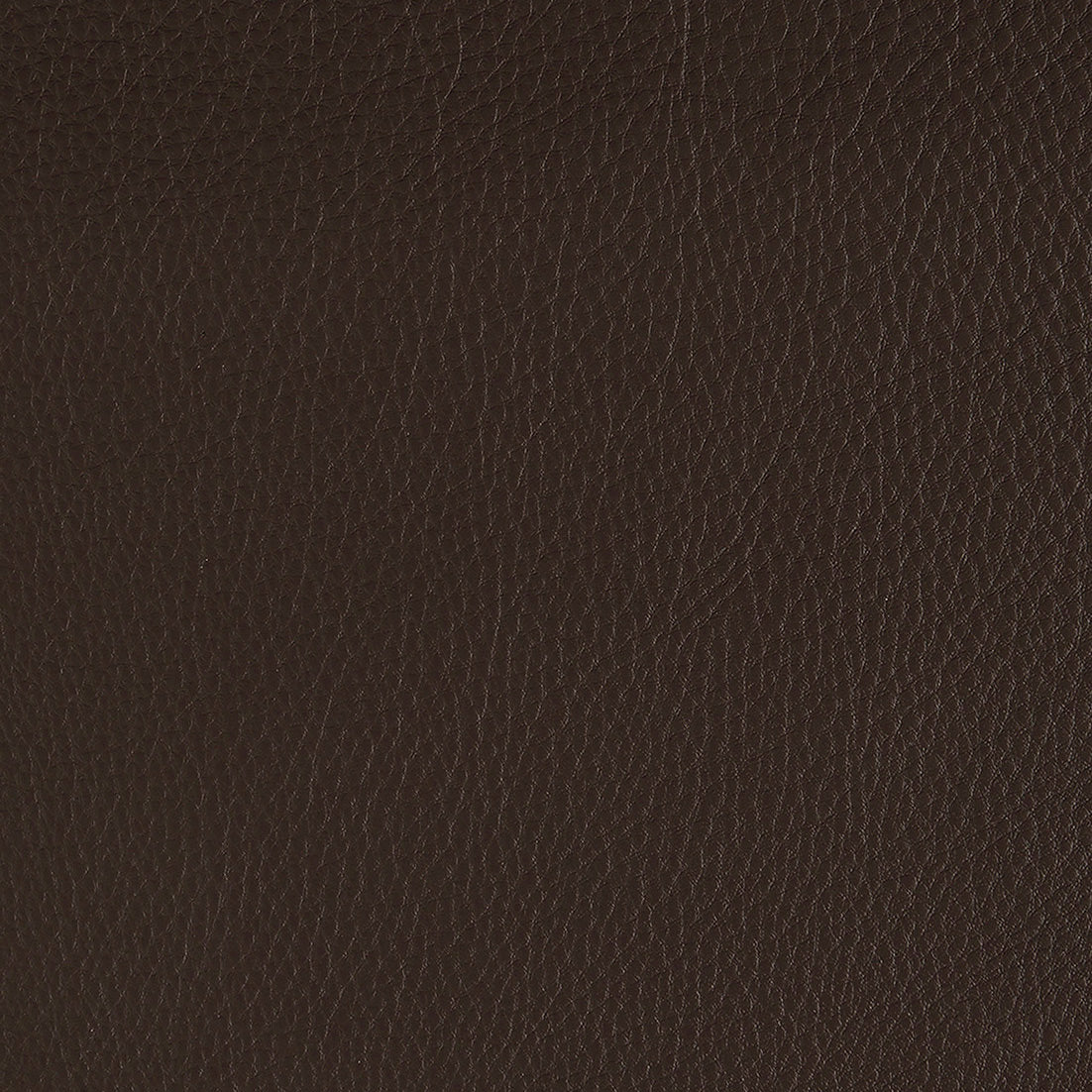 Aniline Leather