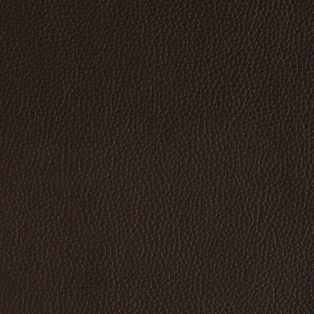 Corrected Leather