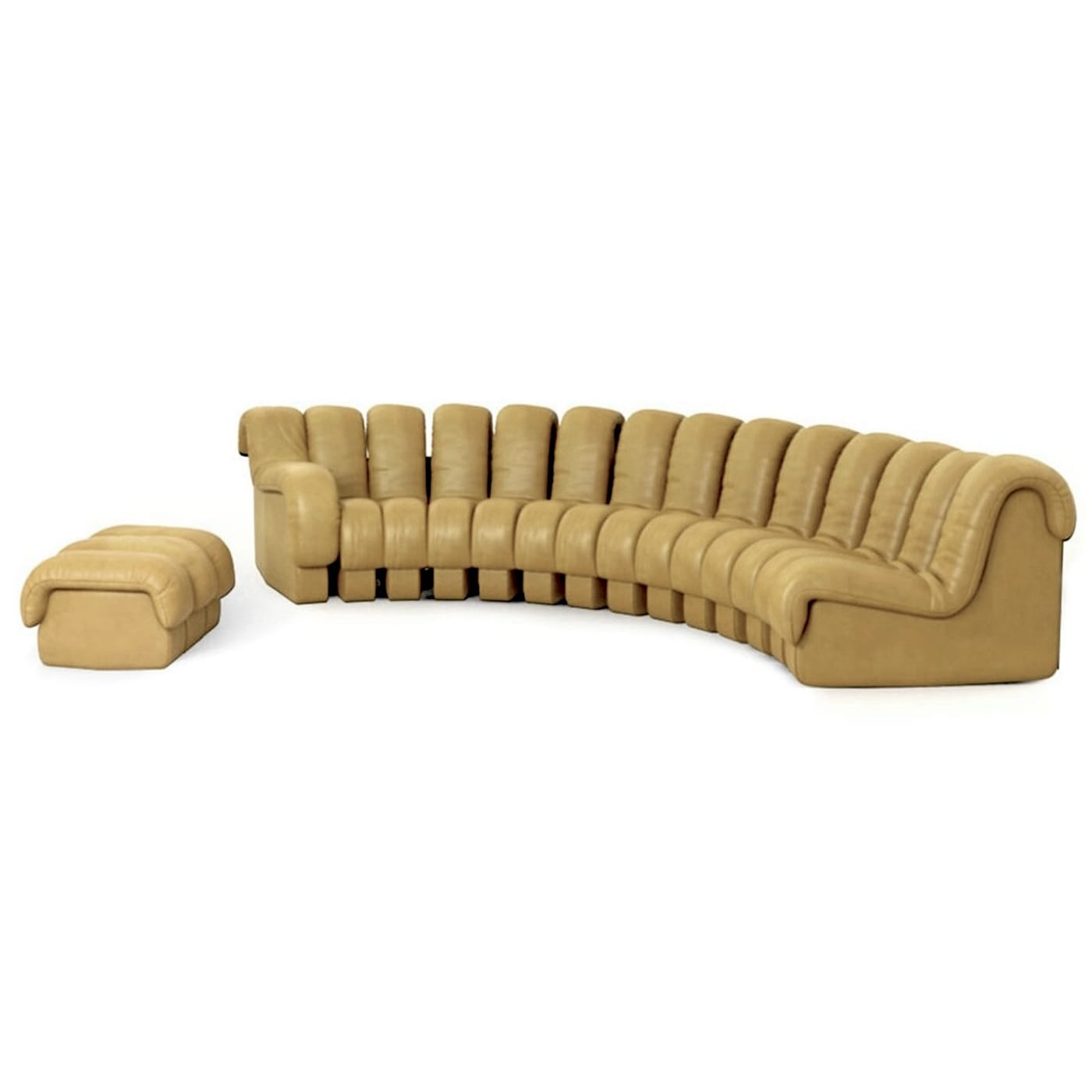 DS-600 Snake Sofa & Ottoman image 1